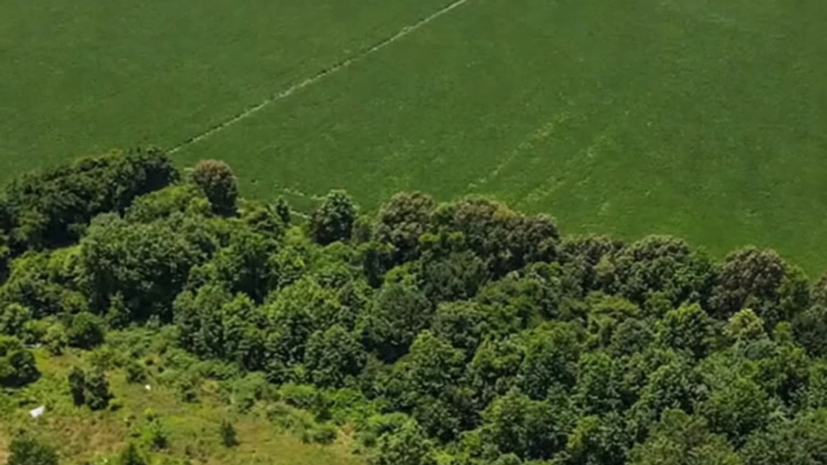 6 Acres of Homestead-Ready Land for Sale